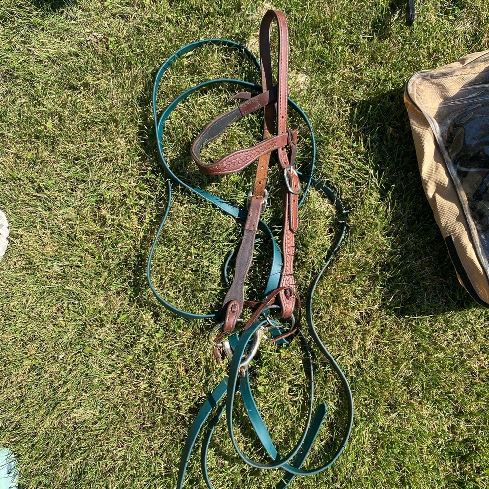 Western bridle